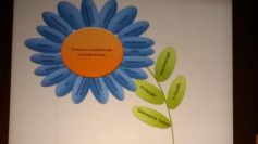 Standpunt BSWZ rond hervorming van de wet betreffende de gezondheidszorgberoepen